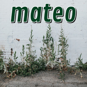 mateo