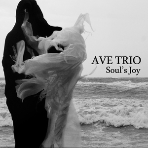 Soul's Joy