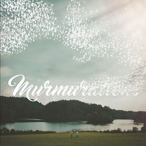 Murmurations