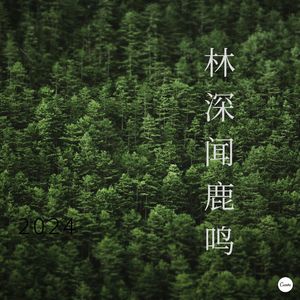 林泉逸韵 (吉他)