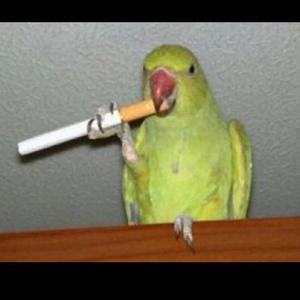 Reboth (feat. TurulBird)