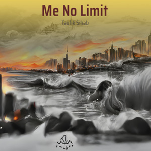 Me no Limit