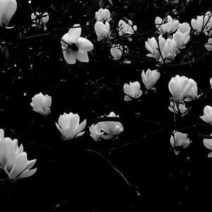 真情假意（寝室放大声版）