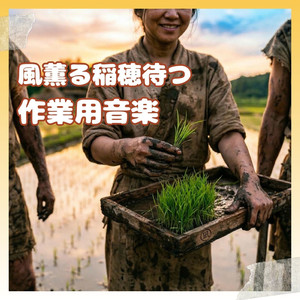 田んぼを流れる静かな時間