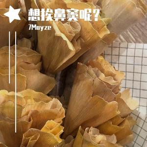 想挨鼻窦呢（prod by. stageFOUR)
