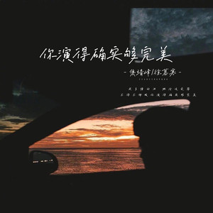 你演得确实够完美