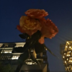 时间如梭 (经典轻音乐)