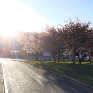 Rock This World 1 (feat. The Best Guitarist & Science Fiction Dude)