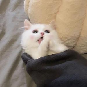 靠近
