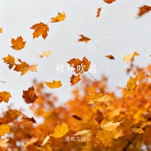 秋风吹起