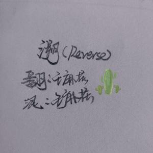 溯（Reverse）（翻自 马吟吟）