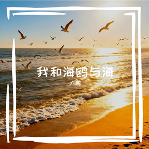 我和海鸥与海
