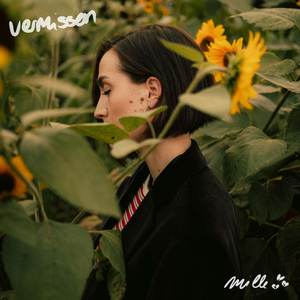 vermissen