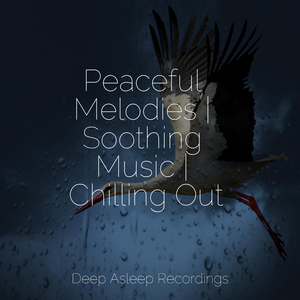 Spring Sun Relaxation