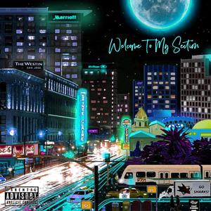 Welcome to my Section