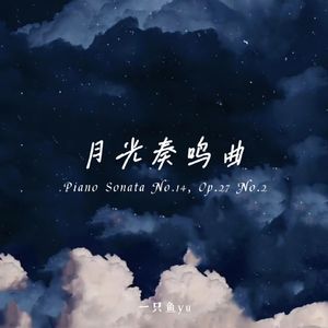 月光奏鸣曲 第一乐章（Op.27 No.2）