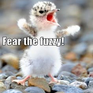 Damn I Love Miami (sped up)