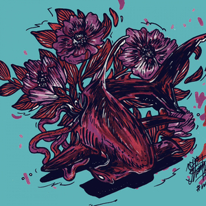 Montenegro (Original Mix)