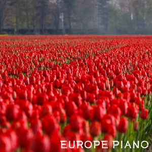 네덜란드의 매력 (Dutch Attraction)