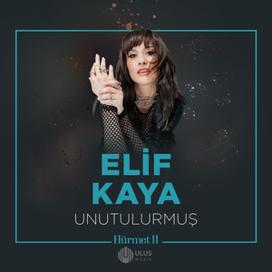 Unutulurmuş (İbrahim Erkal Hürmet 2)