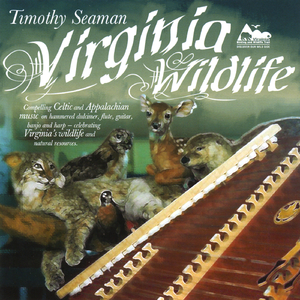 Largo from Symphony 9 From the New World (Going Home)