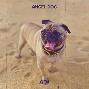 Angel dog