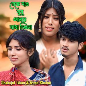 Jete Jaw Bubu Amay Badha Diyo Na