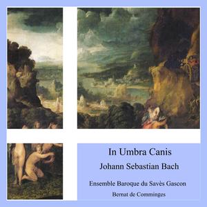 Choralgesänge in C Major, BWV 74: Kommt her zu mir spricht Gottes Sohn