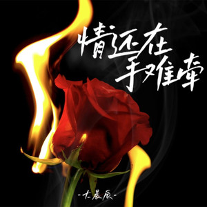 情还在手难牵 (DJ默涵版)