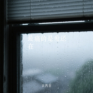 最痛的是爱还在