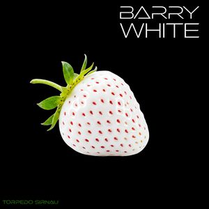 Barry White