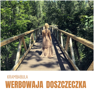 Werbowaja doszczeczka