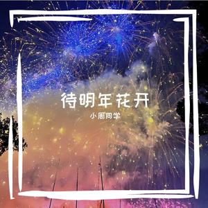 这是我热烈又珍贵的2025