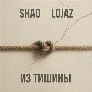 Из тишины