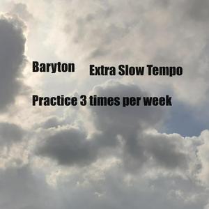 Baryton (feat. The Best Singer) (Extra Slow Tempo)