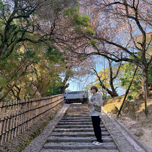 2023年4月5日我失眠了