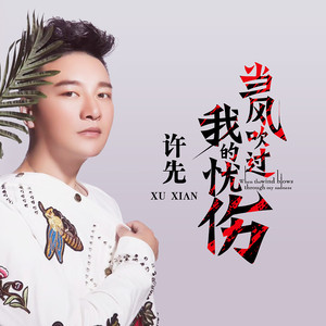 当风吹过我的忧伤