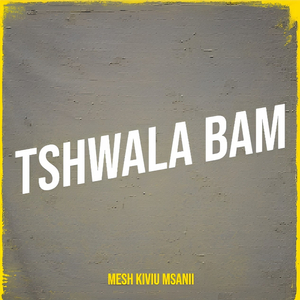 Tshwala Bam