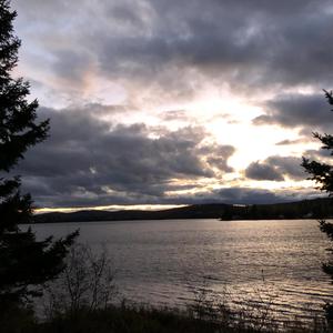 Back Here Again (feat. Lil Flower)