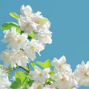 拓扑绝缘体