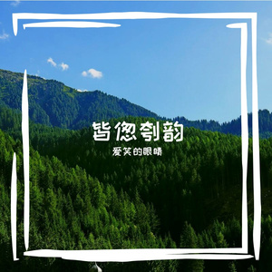 账该矫壳