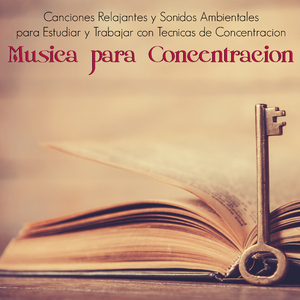 Concentrarse