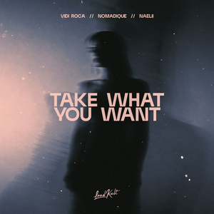 Take What You Want