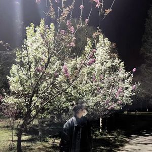 云烟成雨（Cover 房东的猫）