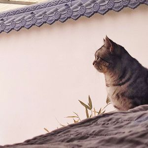 配不上对的我们