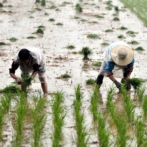 故乡在等我（男版）