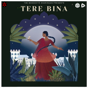 Tere Bina