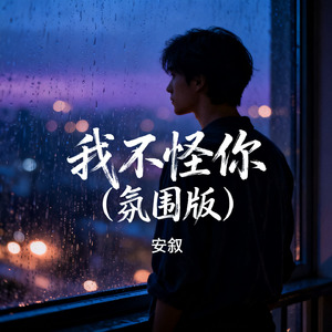 我不怪你（氛围版）