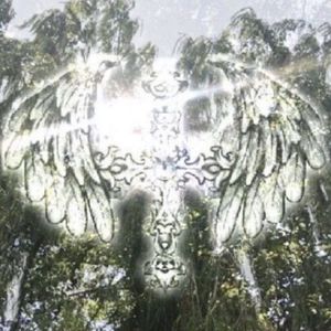 beishangshi1baqiang/prod.dercept