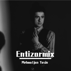 Entizarmix（NEW）
